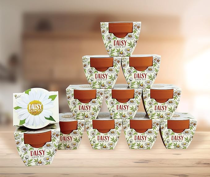 BUZZY Seeds Daydream Mini Terracotta Pots 12-Pack with Daisy Seed Packets – All-in-One Starter Set with Growing Medium and Easy Instructions Gardening Gift Wedding Favors Corporate Gifting