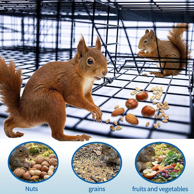 Humane Live Animal Trap for Squirrels Chipmunks Mice &amp Rodents - 24.5 Multi-Catch Cage with Auto-Reset System | High-Efficiency Continuous Trapping | Durable Steel for Garden Farm Backyard
