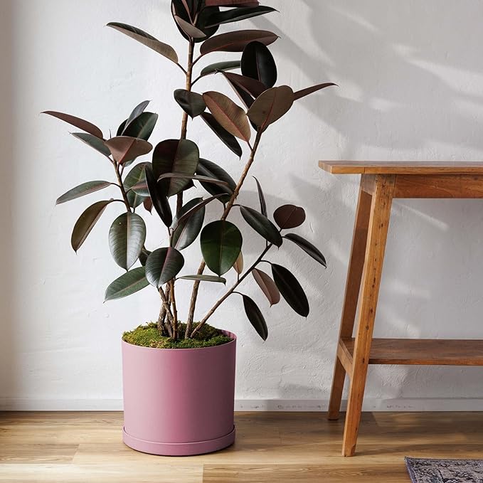 Bloem Mathers 10 Dusty Rose Round Modern Resin Garden Planter Pot with Drainage Holes and Removable Saucer Tray Included