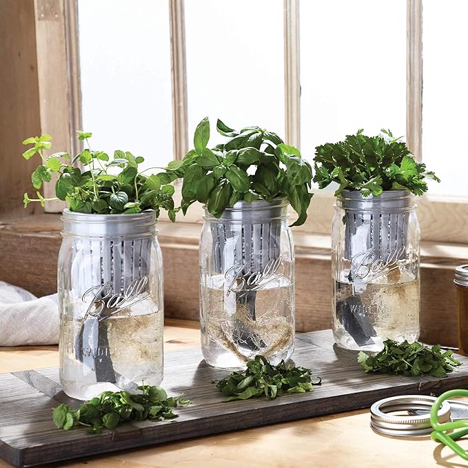 Ball 1440016021 Self-Watering Herb Growing Kit Clear