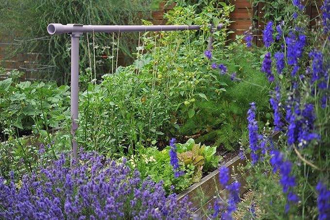 Seattle Urban Farm Company - Freyr Trellis - Vegetable Garden Trellis for Tomatoes Cucumbers Beans Peas and More