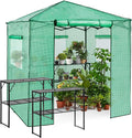 EAGLE PEAK 7x7 Portable Walk in Greenhouse Pop Up Indoor Outdoor Greenhouse Green House Kit with Zippered Roll-Up Doors and Windows + Mesh Lining &amp 2 Foldable Shelves PE Cover Clear/Green