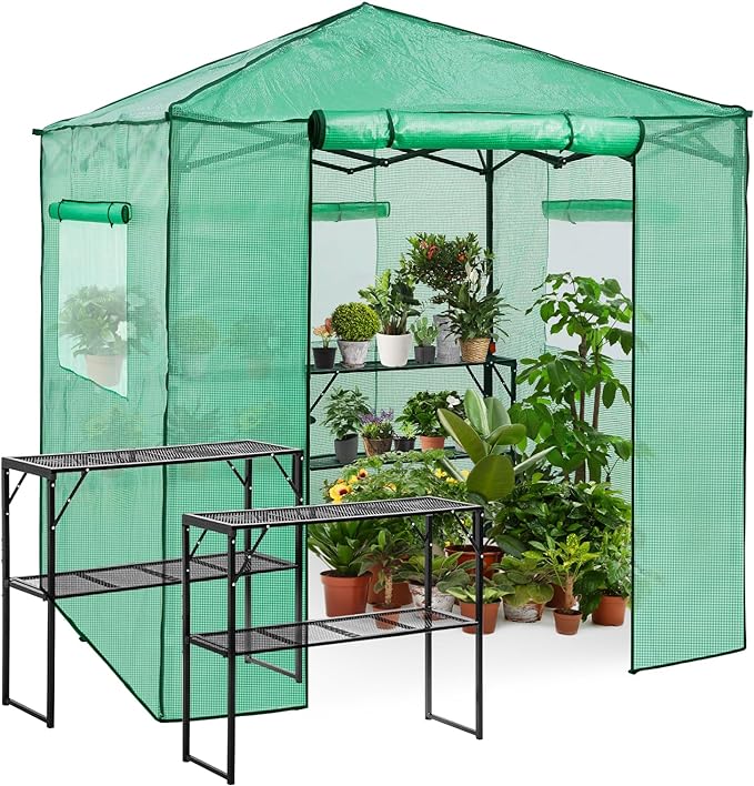 EAGLE PEAK 7x7 Portable Walk in Greenhouse Pop Up Indoor Outdoor Greenhouse Green House Kit with Zippered Roll-Up Doors and Windows + Mesh Lining &amp 2 Foldable Shelves PE Cover Clear/Green