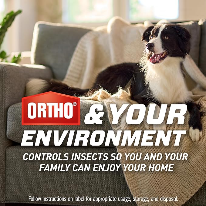 Ortho Home Defense Max Indoor Flying Insect Trap Light Trap for House Flies Fruit Flies and Gnats 1 Plug-in and 4 Refills