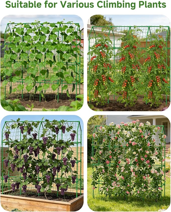 Cucumber Trellis for Climbing Plants Outdoor A-Shape Garden Trellis for Raised Bed Metal Plant Trellis with Garden Netting for Flower Vegetables Pea Grape (67 * 17.7 * 65inch(L*W*H))