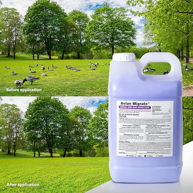 Goose Deterrent Bird Repellent Concentrate Geese Repellent Non-Toxic Removes Geese from Yards Parks Beaches Ponds and Ground Made in The USA (2.5 Gallon)