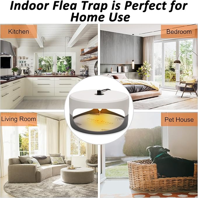 Flea Traps for Inside Your Home 2 Pack Flea Trap with Sticky Pads Refills &amp Light Bulb Replacement Odorless Natural Indoor Bed Bug Light Killer Insect Infestation Treatment Trap for Kids Pet