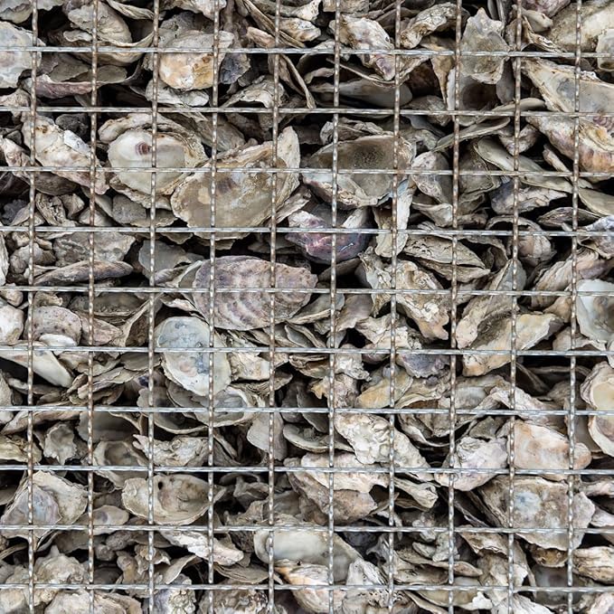 The Bud Grower | California Hot Soil Premium Oyster Shell Flour | 6 lbs of Fine Powder 100% Organic Oyster Shell Flour | All-in-One Grow Tent Kit's &amp Supplies