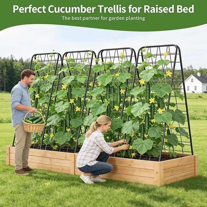 100% Metal Cucumber Trellis for Raised Bed50x17 A-Shape Garden Plant Support for Climbing Plants Heavy Duty Metal Garden Trellises Plant Support for Vine Vegetables Outdoor (Black 50x17(H*W))