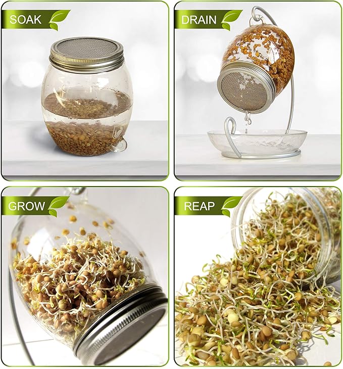 Premium Sprouting Jar Kit - Unique 30 oz Wide Mouth Sprouting Jar Stand Tray and 316 Stainless Screen Lid | Decorative Indoor Seed Sprouter and Germinator (1 Kit)