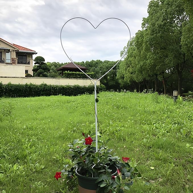Heart-Shaped Garden Trellis for Climbing Plants 104cm/41 Iron Plants Climbing Holder Rack for Decorative Potted Plants Flowers Indoor Otdoor (Color : Black Size : 104x42cm/41x16.5in)