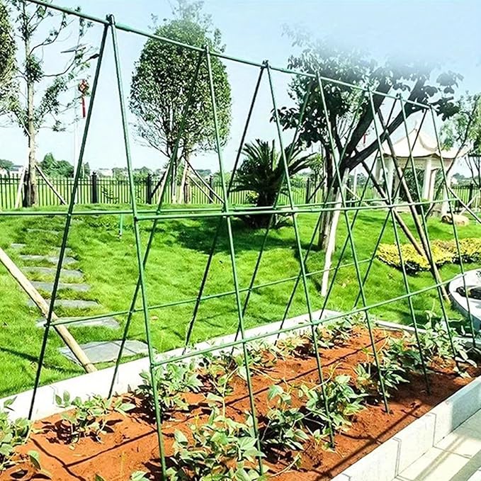 Garden Trellis for Climbing Plants | Climbing Plant Support Obelisk - Tomato Trellis - for Bean Flowers Fruits Grape Pea Squash Tomato Vegetables Vine