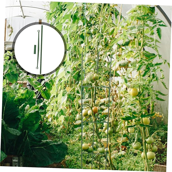 3-Pack Tomato Stand Trellis for Indoor Plants Garden Trellis Rack Plant Support Rack Potted Plant Trellis Climbing Plant Support