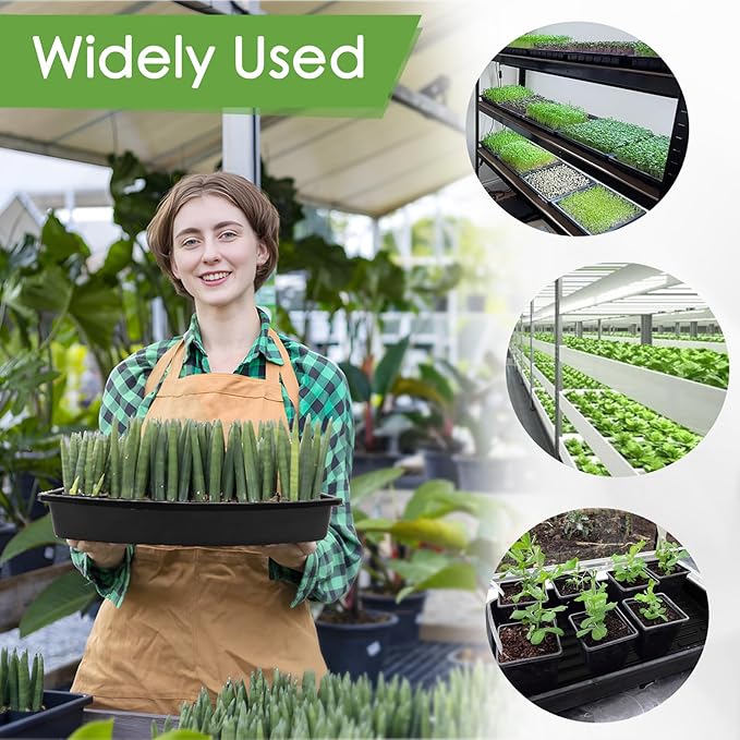Microgreens Growing Trays Kit – 6 Pack Micro Green Grow Trays with 12 Hemp Fiber Grow Mats 15 x 11 x 2.5 Inch Seed Starter Trays for Growing Microgreens Indoor Gardening