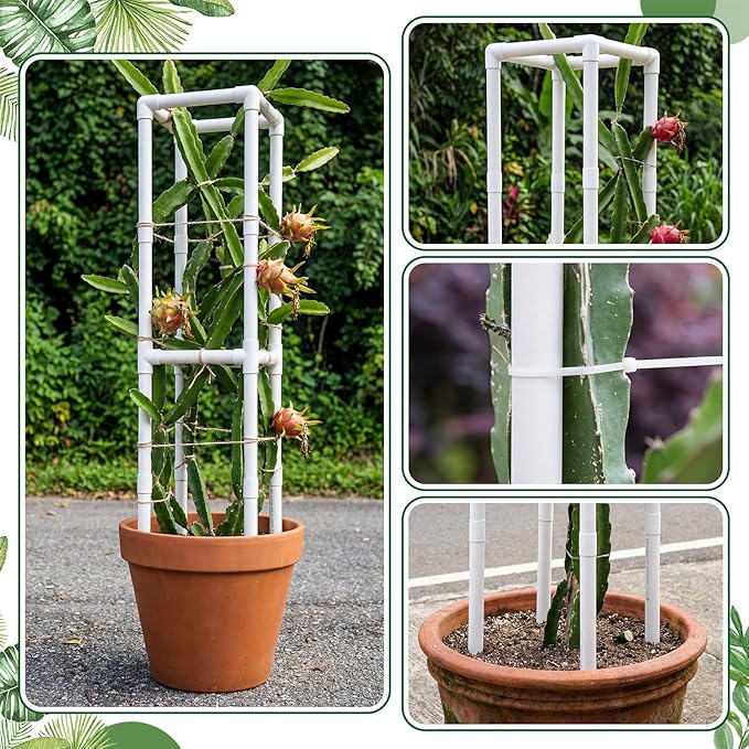 Dragon Fruit Trellis Square 12 x 55 Inch Schedule 40 PVC Plant Support for Climbing Vines Tomatoes Cucumbers Beans Vertical Garden Trellis Requires Assembly