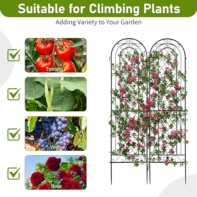2 Pack 16 x 61 Black Garden Trellis for Climbing Plants Outdoor Iron Roses Trellis Trellises for Outdoor Climbing PlantsOutdoor Plant Trellis Climbing Rose Trellis Iron Trellis Decorative