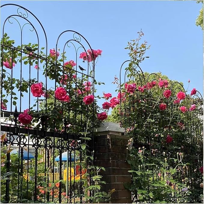 Garden Trellis Fencing for Climbing Plants Decorative Trellis for Outdoor Privacy Screen Tomatoes Vines Flower Beds Roses(Black50x250cm)