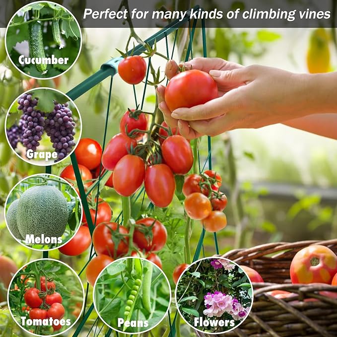 Thickened Cucumber Trellis for Raised Garden Bed48x16 Foldable Frame Metal Vegetable Trellis for Climbing Plants Outdoor Plant Support for Grape Tomato Peas Fruit VineBean(Green)