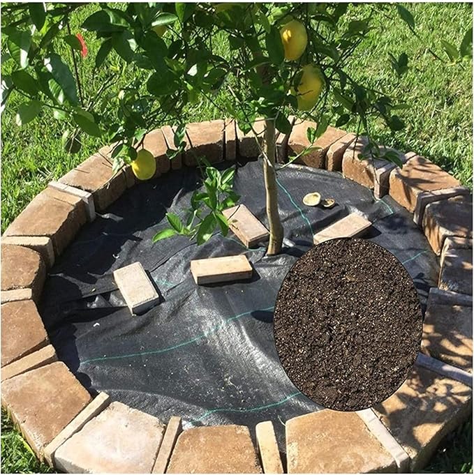 Lawn Weed Barrier Control Fabric Landscape Fabric Ground Cover Membrane Garden Landscape Driveway Weed Block Heavy Duty Black Plastic Sheeting for Flower Bed (Size : 2x3m)