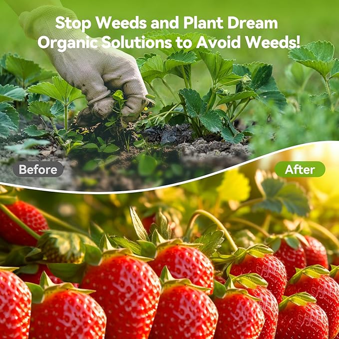 3ftx300ft Weed Barrier Fabric 3.2oz Landscape Fabric Heavy Duty Woven Weed Control Cloth Woven Weed Fabric for Underlayment Gardening Ground Commercial Driveway Weed Block Cover Mat