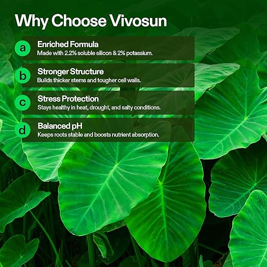 VIVOSUN StemX (0-0-2) Silica for Plants Soluble Liquid Silicon Plant Supplement Fertilizer Nutrient Solution for Strong Stems and Healthy Leaves Boost Resilience pH Balance 32 oz (Pack of 2)