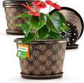8 Inch Planter Pots for Plants Plastic Flower Pots Indoor Outdoor 5 Pack Resin Plant Pot with Drainage &amp Saucer Retro Decorative Garden Pot with Removable Trays for House