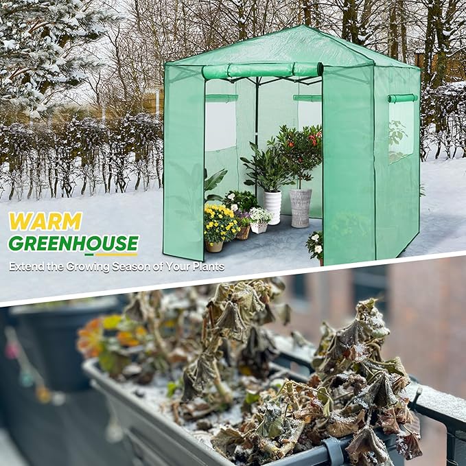 EAGLE PEAK 7x7 Portable Walk in Greenhouse Pop Up Indoor Outdoor Greenhouse Green House Kit with Zippered Roll-Up Doors and Windows + Mesh Lining &amp 2 Foldable Shelves PE Cover Clear/Green