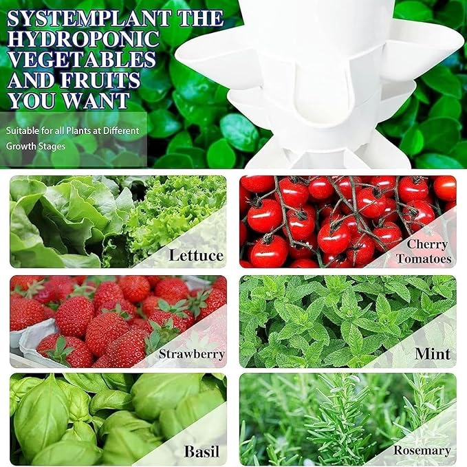 Soilless Cultivation Kit - Food-Grade Hydroponics 3-6 Tier Rack - Save Time &amp Water 30% Higher Yields - Ideal for Kitchen Office Windowsill Planting(30holes)