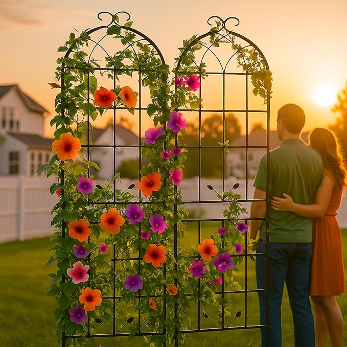 Metal Garden Trellis 2 Pack Metal Trellis for Climbing Plants