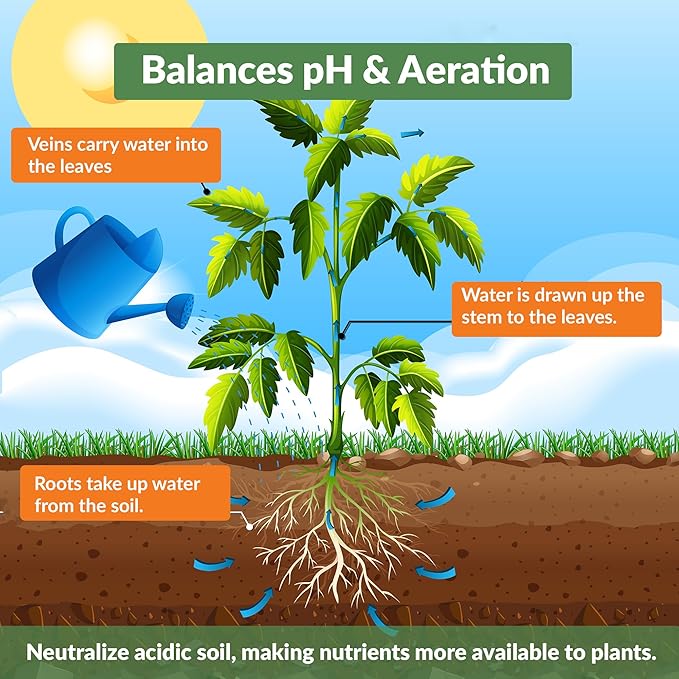 Premium Biochar Soil Enhancer – 100% Organic Charcoal Amendment for Improved Soil Health and Plant Growth (12 Quarts)