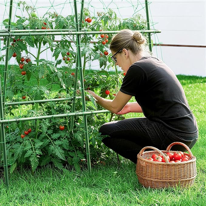 HIRALIY Cucumber Trellis for Climbing Plants Outdoor 5.25ft Tall Heavy Duty Metal Garden Arch Trellis Rustproof Plant Support Tunnel for Tomato Grape Bean Raised Bed and Vegetable Gardens Green