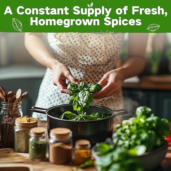 LUSH&ampDEW Culinary Herbs Kitchen Garden Seed Bank Gardening Gifts for Women Men 16 Varieties Non-GMO Heirloom Seeds for Planting Herb in Raised Garden Beds Windowsill Survival Kit for Cooking Sp
