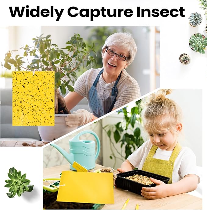 Qualirey 200 Pcs 6 x 8 Inch Sticky Traps for Gnats Dual Sided Fruit Fly Sticky Traps for Indoor and Outdoor Plant with Twist Ties and Plastic Holders for Flying Plant Insect Fungus Gnats (Yellow)