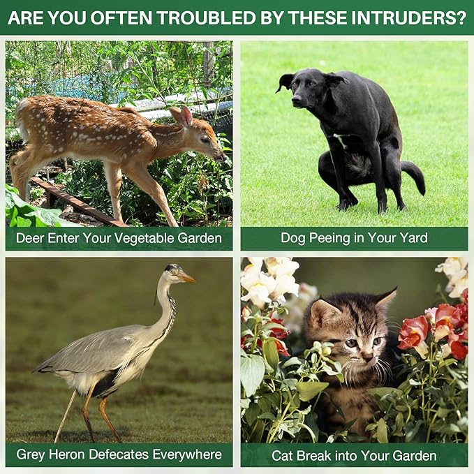 Animal Repellent OutdoorSolar Pest Animal Repellent OutdoorSquirrel RepellentRacoon RepellerEffective Deer Repellent Devices with Motion Sensor &amp Flashing Light for Yard Garden（1 Pcs）