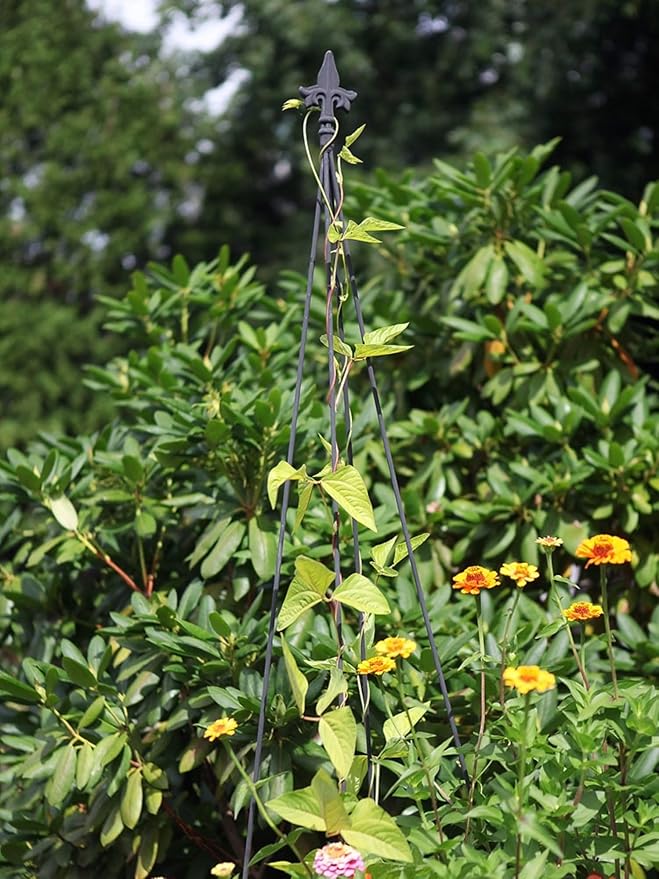 Achla Designs FT-20 Fleur-De-Lis 58-in Wrought Iron Garden Stake Trellis H Black