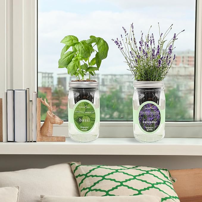 2-Pack Hydroponic Mason Jar Herb Garden Kit Indoor Herb Garden Self-Watering Starter Kit (BasilLavender)