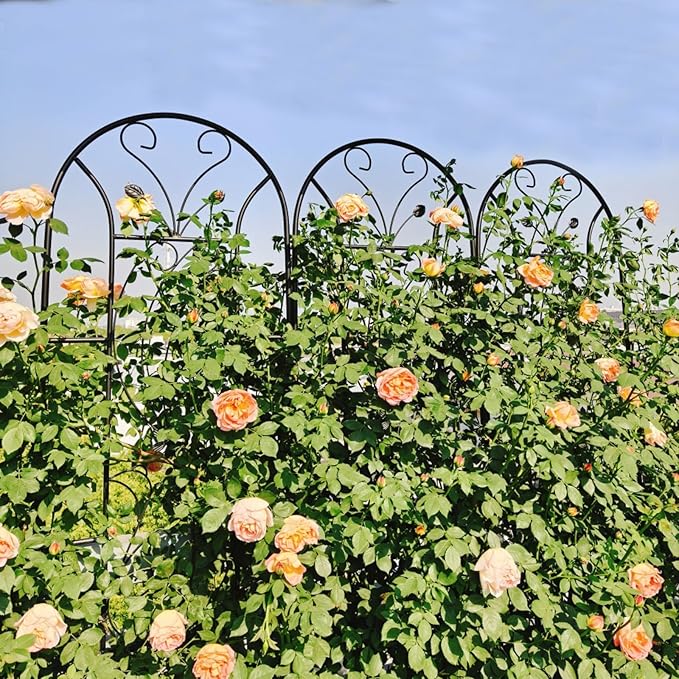 Metal Garden Trellis with Black Metal Coating Rustproof Trellis with Peacock Style Outdoor Lattice Panel for Climbing Plants Roses Tomatoes Vine Vegetables 86.7 x 19.7 (Black 2 Pack)