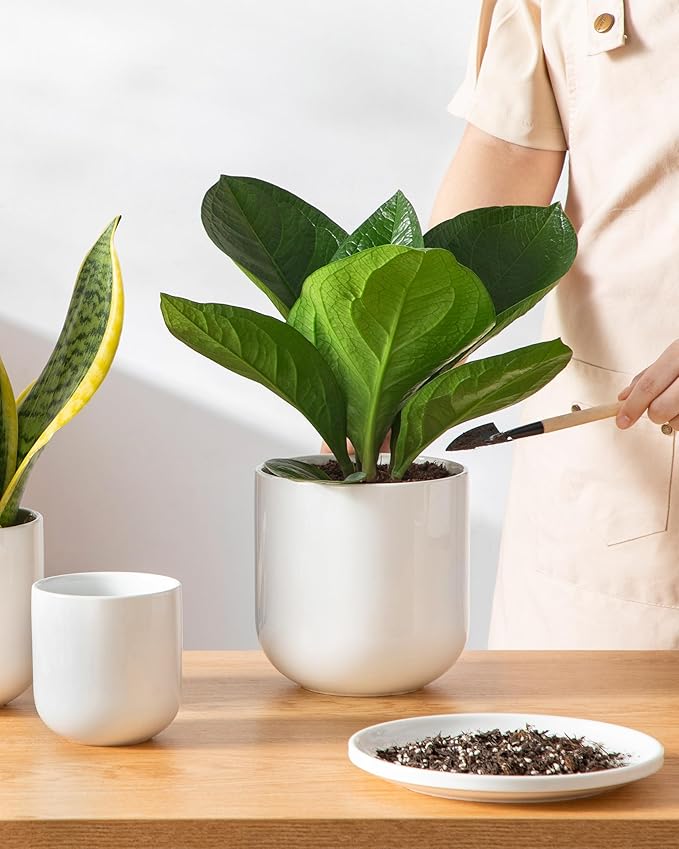 vancasso Ceramic Plant Pots 4+5+6 inches Set of 3 Planters with Drainage Hole Flower Pots Planters Pots for Indoor Plants Modern Indoor Decorative Garden Pot Home Decor White