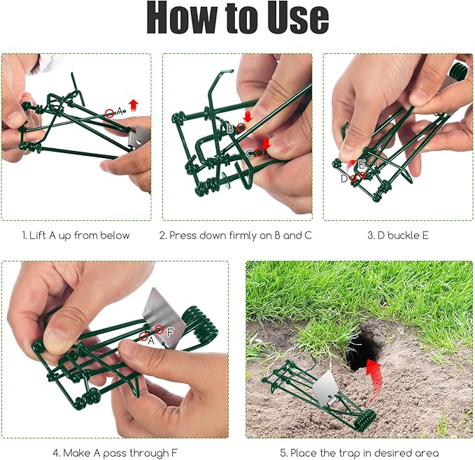 Metal Mole &amp Gopher Trap - Reusable Tactical Mole Gopher Killer Outdoor Vole Traps for Voles Gophers Rats Ground Moles - Yard Garden Lawn Protection Pack of 8 Green