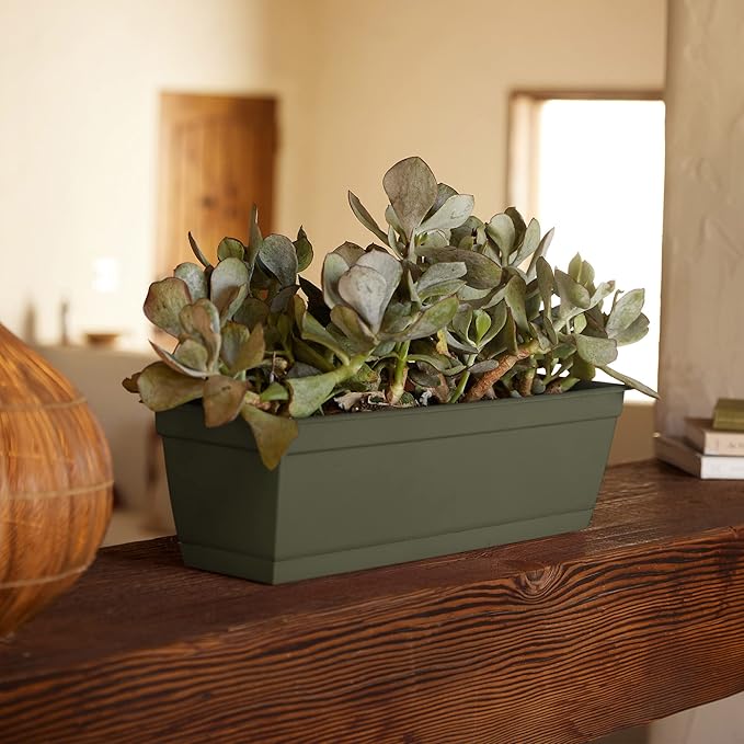 Bloem Dura Cotta Window Box Planter: 24 - Living Green - with Tray Weatherproof Resin Box Removable Tray for Indoor &amp Outdoor Use Gardening 3 Gallon Capacity