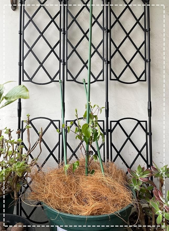 Garden Trellis for Climbing Plants Adjustable Plant Trellis Support Black Climbing Stand Rack for Vegetables Flowers Fruit (Size : 46.5x135cm/18.3x53in)