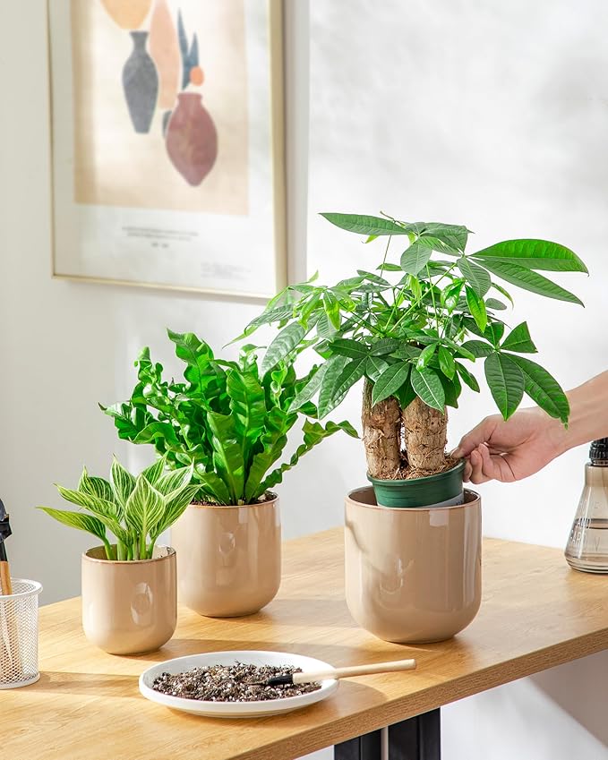 vancasso Ceramic Plant Pots 4+5+6 inches Set of 3 Planters with Drainage Hole Flower Pots Planters Pots for Indoor Plants Modern Indoor Decorative Garden Pot Home Decor Brown