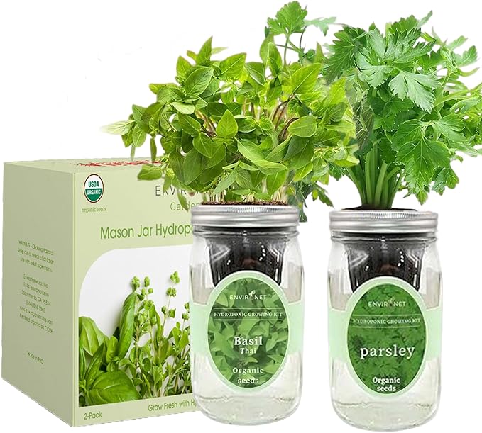 2-Pack Hydroponic Mason Jar Herb Garden Kit Indoor Herb Garden Self-Watering Starter Kit (Thai BasilParsley)
