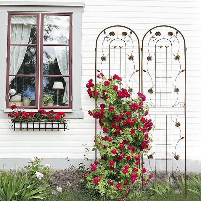 2 Pack 71 x 19.7 Rustproof Metal Garden Trellis for Climbing Plants - Black Powder Coated Outdoor Flower Support Easy to Assemble Sturdy &amp Durable (Brown 19.69×86.61 inches.)