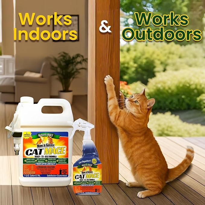 Nature's Mace Cat Mace Cat Repellent Pets Training Tool Outdoor &amp Indoor Home Liquid Spray Deterrent Landscaped Marking Anti-Scratch Garden &amp Furniture Protector Ready-to-Use 1 Gallo