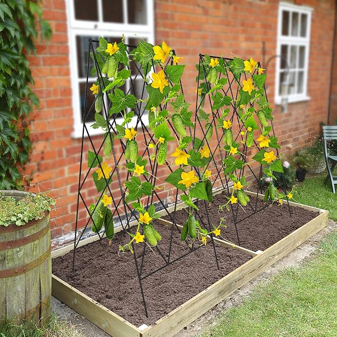DoCred Cucumber Trellis 2 Pack Metal Foldable A Frame Garden Trellis for Raised Bed Climbing Plants Vegetables Includes Plant Support Clips Twist Ties Plastic Ties A Frame Trellis Black