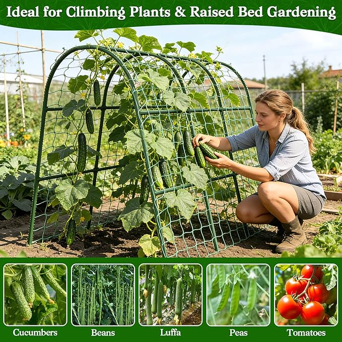 Cucumber Trellis for Raised Bed Garden Arch Trellis for Climbing Plants Outdoor Metal Garden Trellis for Spring Vegetables Cucumber Trellis for Tomato Bean Pea Grape Plant