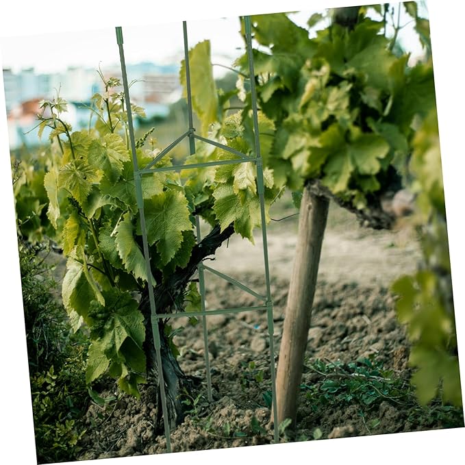 3sets Garden Trellis for Climbing Plants Sturdy Support Rack for Tomatoes Vines Vegetables Elegant Design for Use Easy Installation Clips