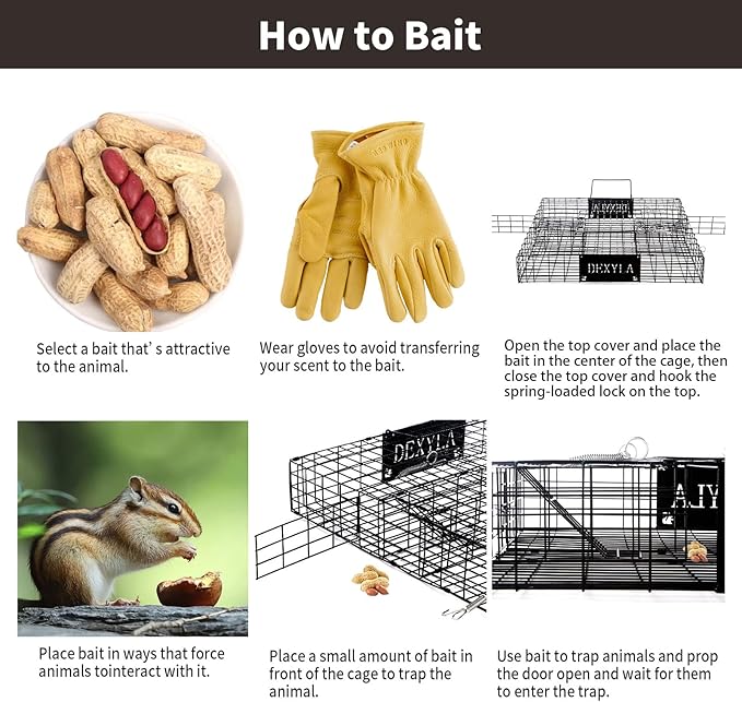 Squirrel TrapHumane Catch and ReleaseCan Catch Multiple Squirrels or Chipmunks at Once