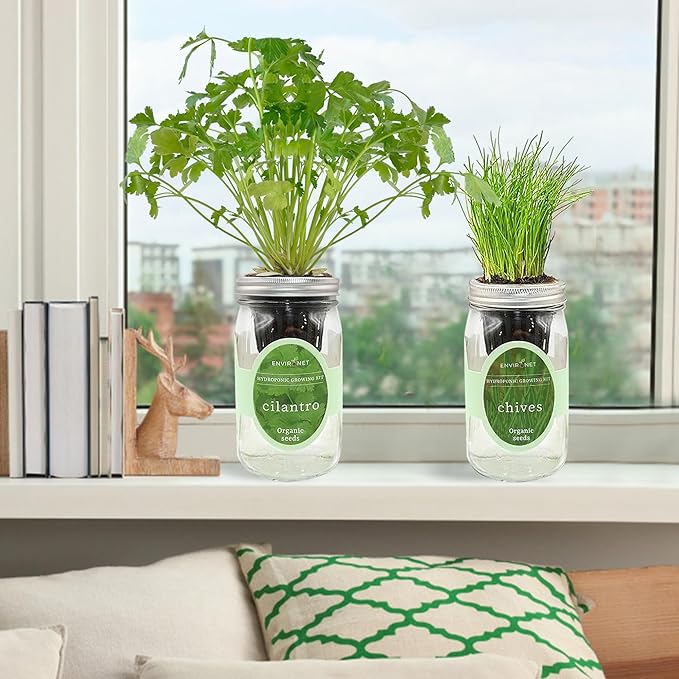 2-Pack Hydroponic Mason Jar Herb Garden Kit Indoor Herb Garden Self-Watering Starter Kit New Christmas Gift for Mom (CilantroChives)